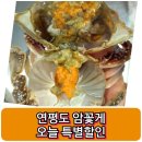 [연평도 활 암꽃게]🦀오늘 하루 가격다운~💥가격이 좋아 3KG내외 상품도 추가~~🦀(4월 26일)