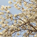 검바위약수터 이미지