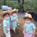 풍림농장 이미지