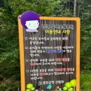 남산 유아숲체험원 이미지