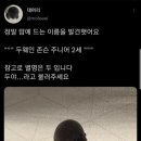 빛나는열매