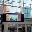 엑스포역광장 이미지