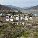 2026 광양 매화축제 3월 축제 매화마을 맛집 매화 개화시기