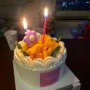 미사 디저트 추천 | “단이 케이크” 과일이 한가득 들어있는 케익 맛집, 제 후기는요?