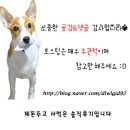 김영희강남동태찜 화명점 이미지