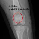 동백동물병원