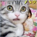 유란