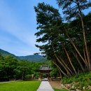 씨유 화순부처샘점 | 구례 지리산 천은사, 이슬처럼 맑고 차가운 샘의 기억 | 전남권 여행