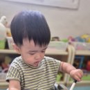 창의숲어린이집