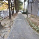 뉴중앙공인중개사사무소 이미지