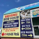 저도 대문어축제 | 고성 6월 여행지 가볼만한곳 대진항 저도 대문어축제 🐙내돈내산 참여 후기