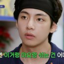 서진개발 마이데일리