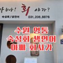 아빠!회사가 | 수원 영통 숙성회 생연어 전문점 아빠회사가 식사 후기