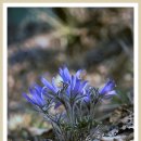 문산2리 이미지