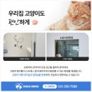 다산동물병원 이미지