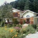 펜션비우고채우는숲 이미지