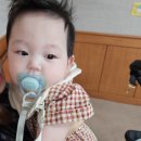 청년탑마트 이미지