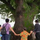 고려여행사㈜ 이미지