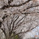 금호강4 이미지