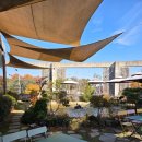 풍산목장 | 일산 대형 카페 빠르끄 브런치 베이커리 맛집 내돈내산 후기