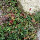 문경 여여헌 이미지