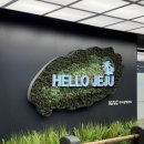 1박 2일 제주 혼자 여행 :: 제주공항에서 오설록, 제주 애월 혼밥, 동문시장 소품샵, 게하추천