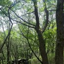 상현마을 공중화장실 네이버블로그