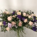 밀드플레 이미지