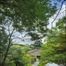 영락공원(주차장) 이미지