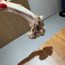 두꺼비 한우정육식당 이미지