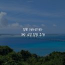 바다주유소 | [일본]미야코지마 3박4일 일정::준비물, 바다거북, 야비지 투어, 쇼핑