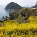 하화도 꽃섬길 이미지