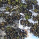 풍요의 계절 이미지