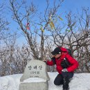 인제14-1 이미지