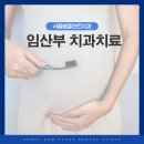 서울봄플란트치과의원 | 임산부 치과치료, 치통이 생겼다면