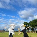 현규농장 이미지