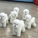 일산떡집