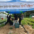 흥천중학교 이미지