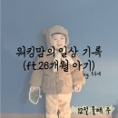 콩콩찰떡 놀이체육(볼링) | 워킹맘의 12월 둘째 주 일상기록(ft.25개월 아기)