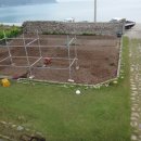 손죽민박 이미지