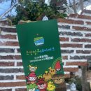 순창발효#10