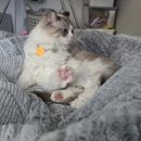 남매안경본점 렌즈미 | 1월 일상