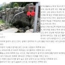 경주 단석산 부근 봉우리 들(경주신문) 이미지