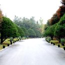 기안초교 이미지