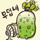 봉화별캠핑장 이미지
