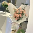 벨르플레르 이미지