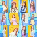 청원레코드 이미지