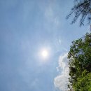 승규농장 이미지