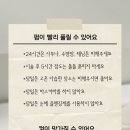 다비드래쉬 네이버블로그