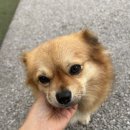 말래펜션 | ‘가평 블라썸펜션’에서 친구들과 연말모임!